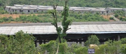 養殖企業(yè)環(huán)保空調韶關(guān)番靈畜牧案例